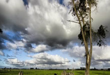 雄鸟输球,恩比德本季首次砍下+得分