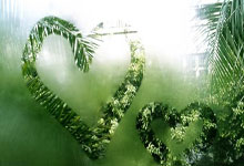 利比亚代表团在羽毛球比赛中缔造奇迹